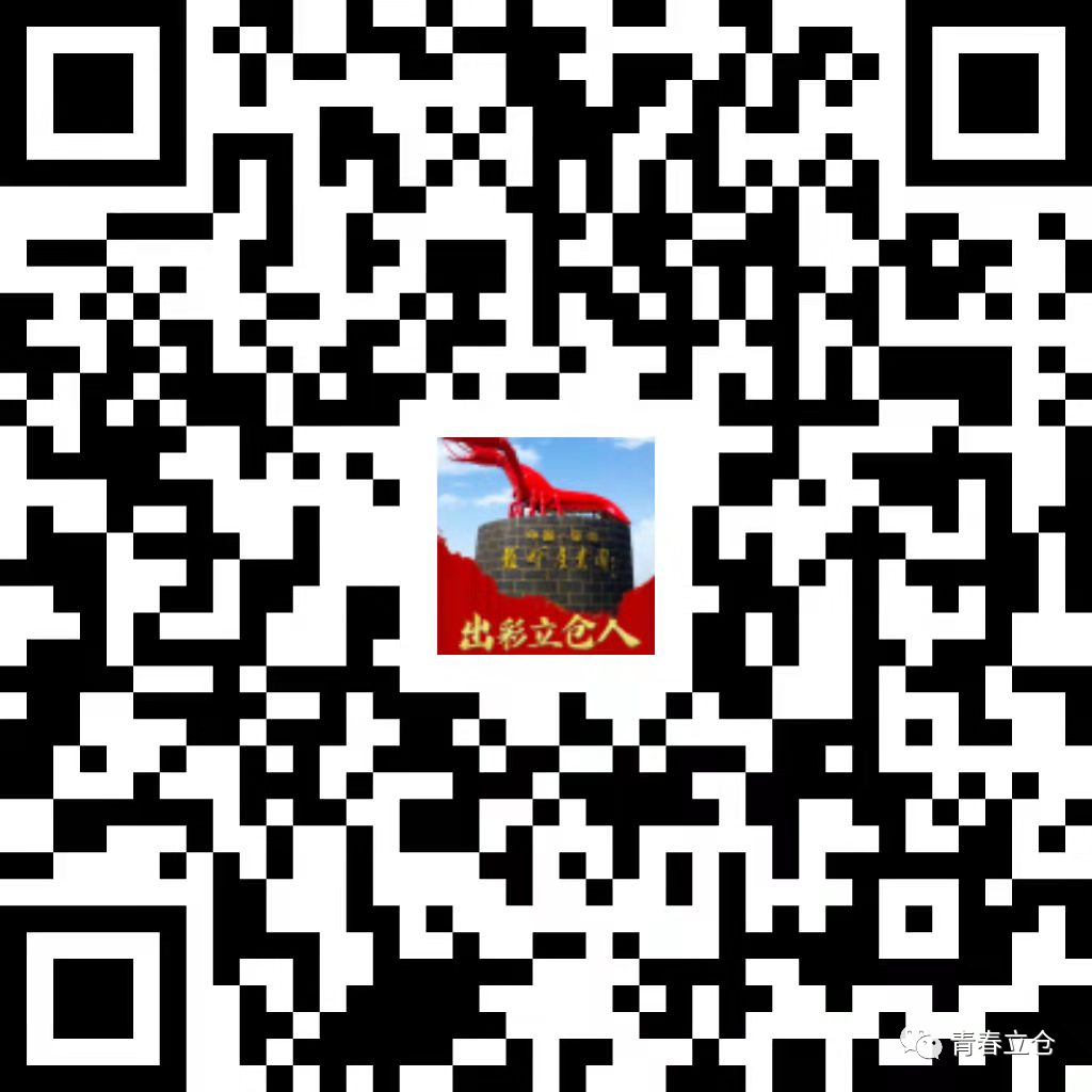 尋找“出彩立倉(cāng)人”！立倉(cāng)鎮(zhèn)黨委政府發(fā)出征集令(圖8)