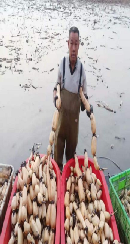 圖片3.png